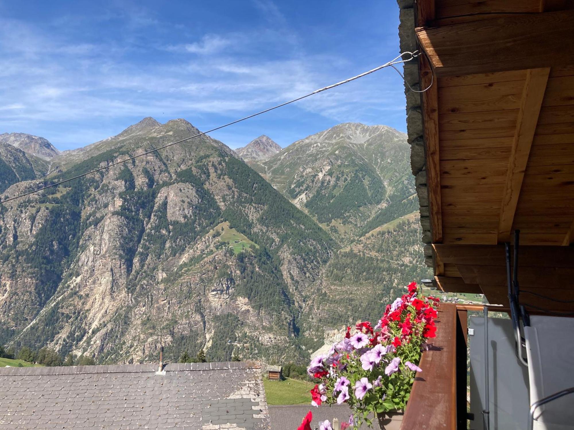 Haus Dorfblick Apartment Grachen Bagian luar foto